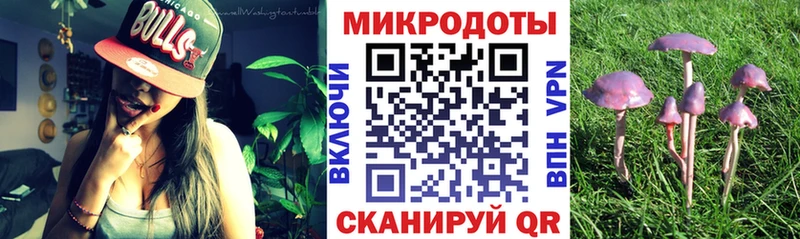 дарк нет какой сайт Кубинка Галлюциногенные грибы GOLDEN TEACHER