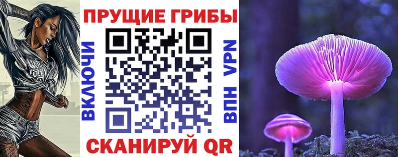 Псилоцибиновые грибы прущие грибы Кубинка